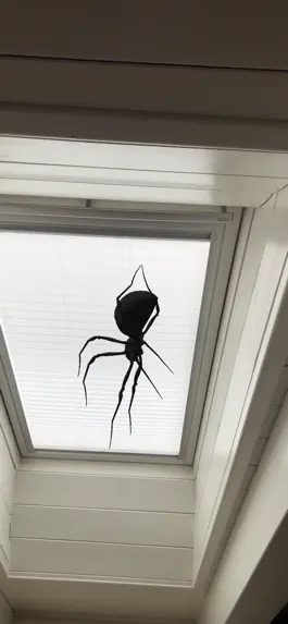 Game screenshot Hanging Spider apk