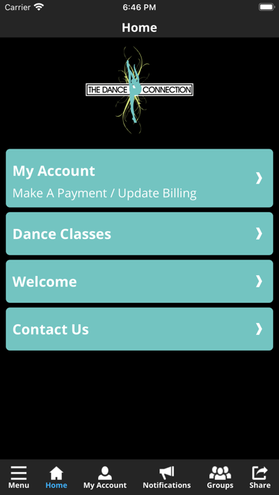 The Dance Connection Screenshot