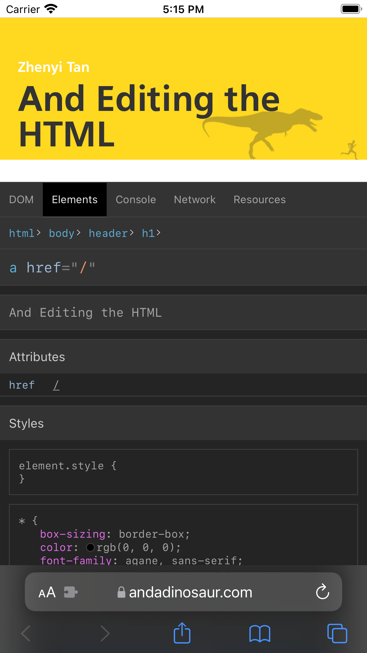 Web Inspector screenshot 4