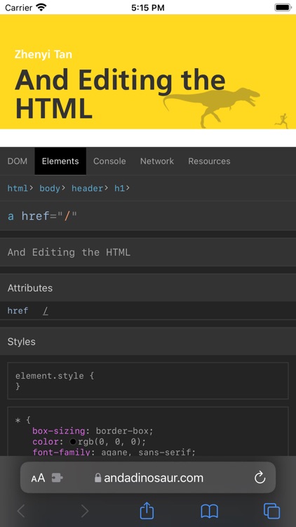 Web Inspector screenshot-3