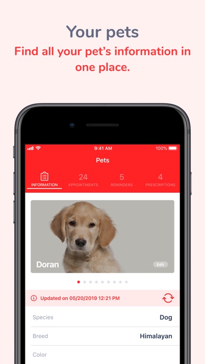 Veterinary Care at Belmont