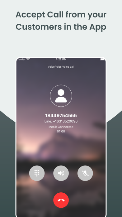 Virtual Business Phone Number Screenshot