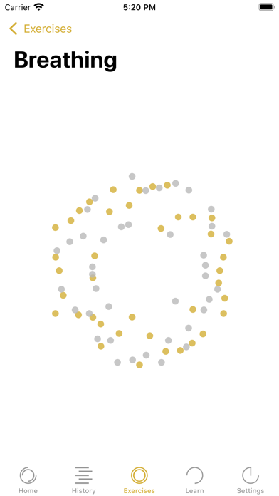 Rhythm Meditation Timer Pro Screenshot