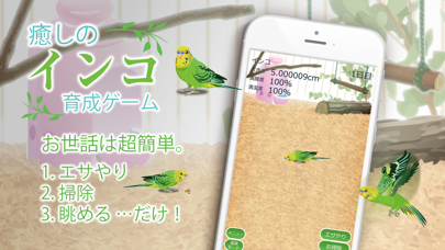 癒しのインコ育成ゲームのおすすめ画像1