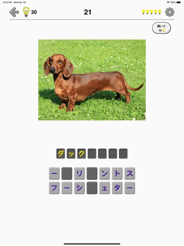 犬 - 写真付きクイズ、犬の品種一覧のおすすめ画像2