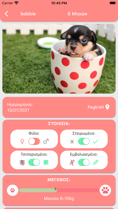 Your Pet Screenshot