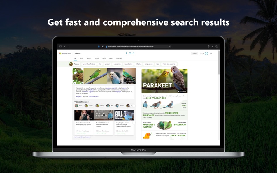 #3. Microsoft Bing for Safari (macOS) Podle: Microsoft Corporation