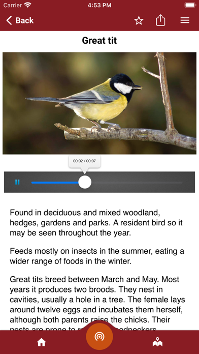 Skipton Castle Woods Screenshot