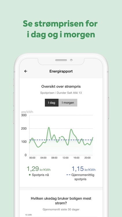 Mitt Fortum Norge screenshot-4