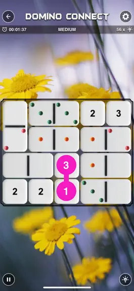 Game screenshot Domino Connect hack