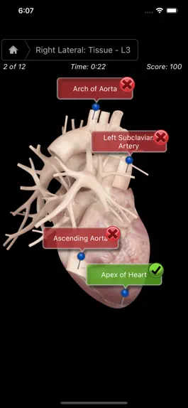 Game screenshot Heart Pro III - iPhone mod apk