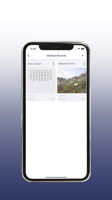 Laila Screenshot