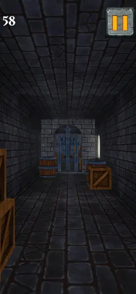 Game screenshot Castle Escape - Dungeon Runner apk