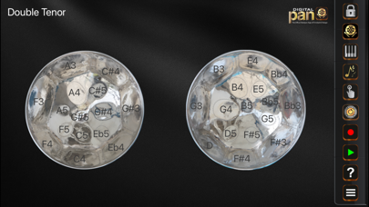 Digital Pan Screenshot