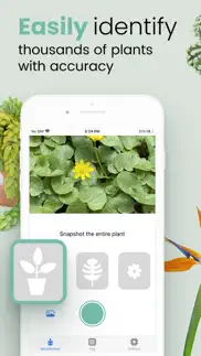 plant id match: identification iphone screenshot 1