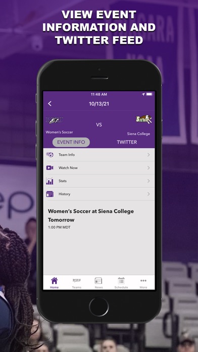 Niagara Purple Eagles Screenshot