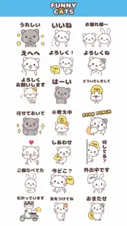 funny cats【 2 】 problems & solutions and troubleshooting guide - 2