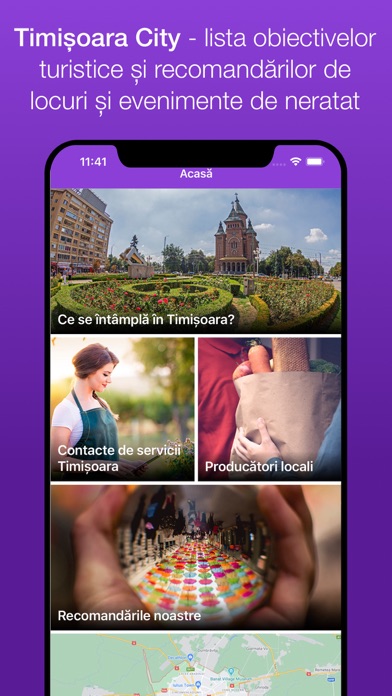 Timișoara City Screenshot