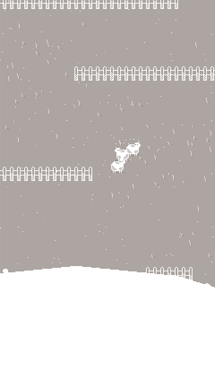 Shepherd lead sheep to goal