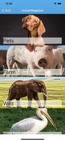 Game screenshot Funny Animal Ringtones Sounds apk
