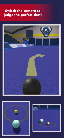 Game screenshot Bowls Pro apk