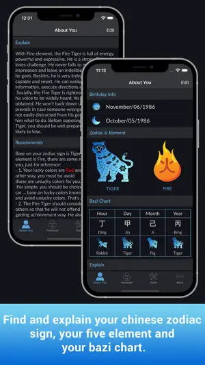 CHoroscopes Chinese Horoscopes screenshot 1