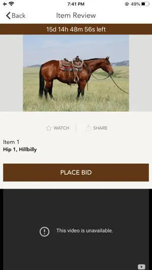 DiamondMcNabb screenshot 3