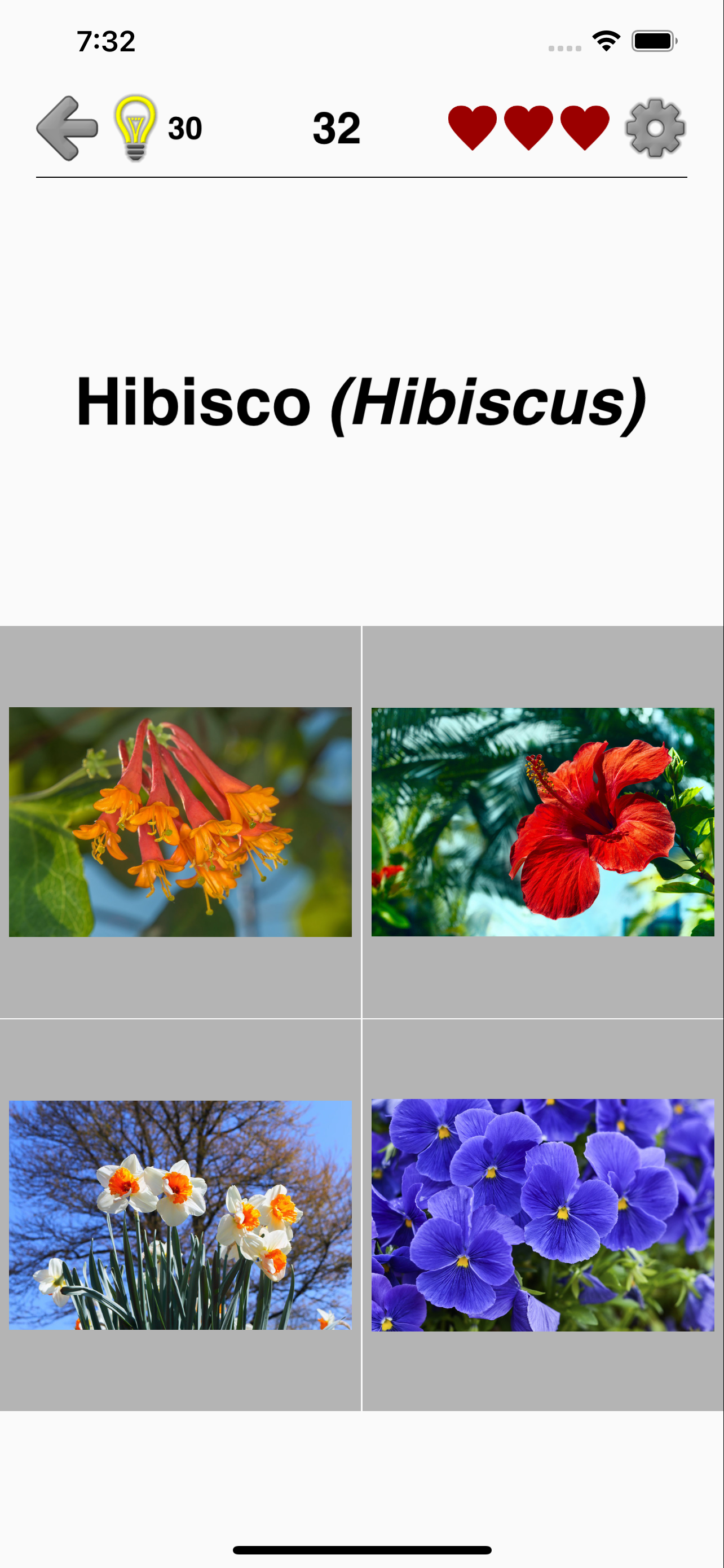 Flores: identifica las plantas