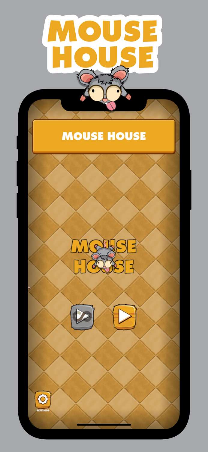 Mouse House Simple Angles Fun