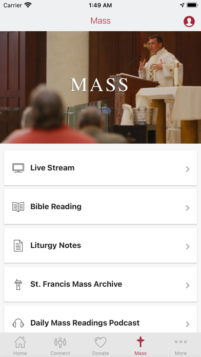 St Francis: Tuscaloosa Screenshot