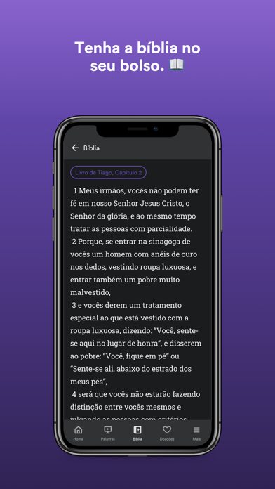 Videira Arenapolis Screenshot