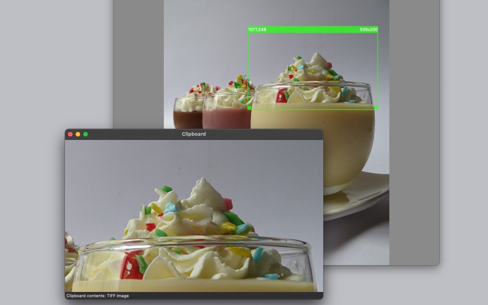 #3. Precise Screenshot 2 (macOS) 由: Roberto Panetta