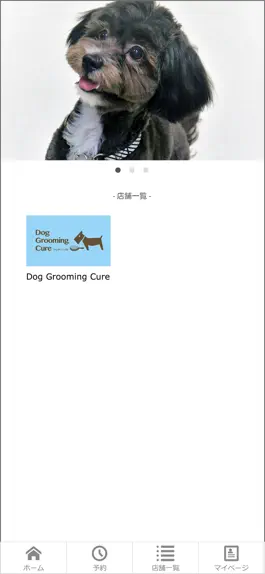 Game screenshot Dog Grooming Cure apk