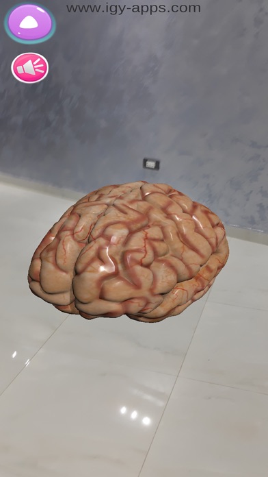 Anatomy AR 4D Screenshot