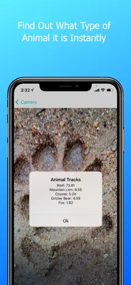 Game screenshot Animal Tracks Discovery apk