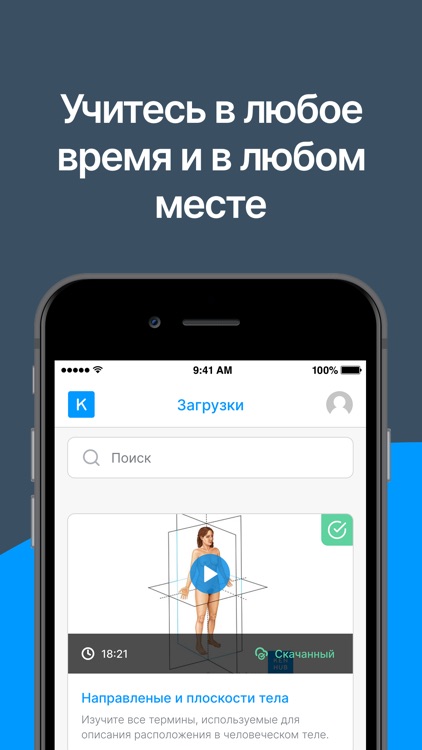 Kenhub Анатомия