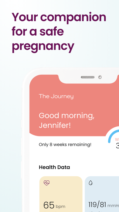 The Journey Pregnancy Tracker Screenshot