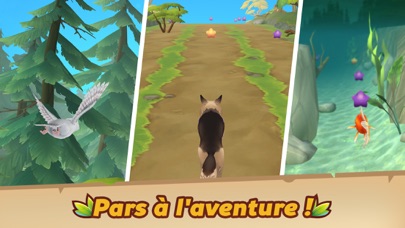 Petventures - jeu avec animaux
