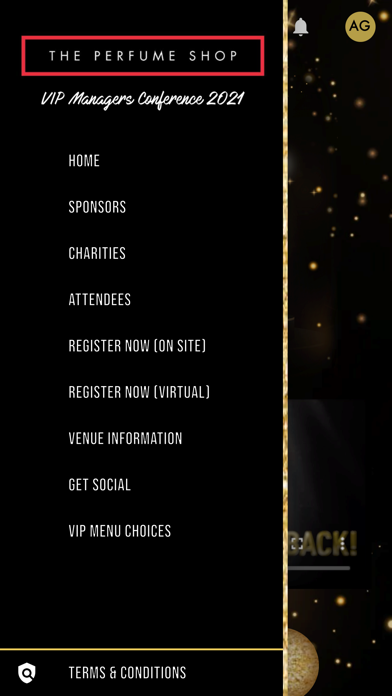 TPS VIP Conference 2021 Screenshot