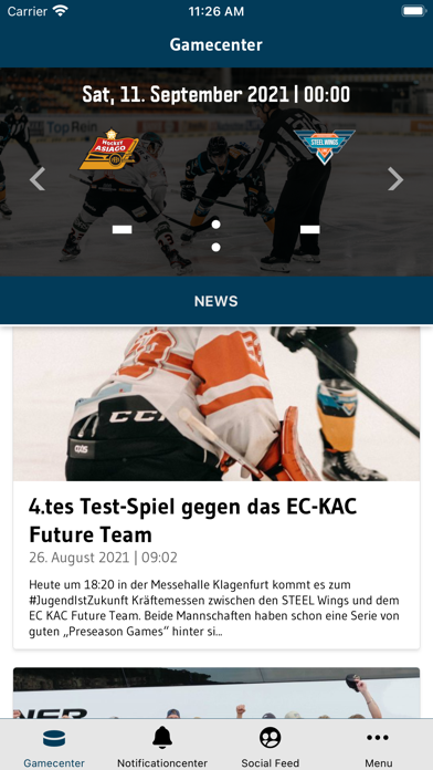 STEEL Wings Linz Screenshot