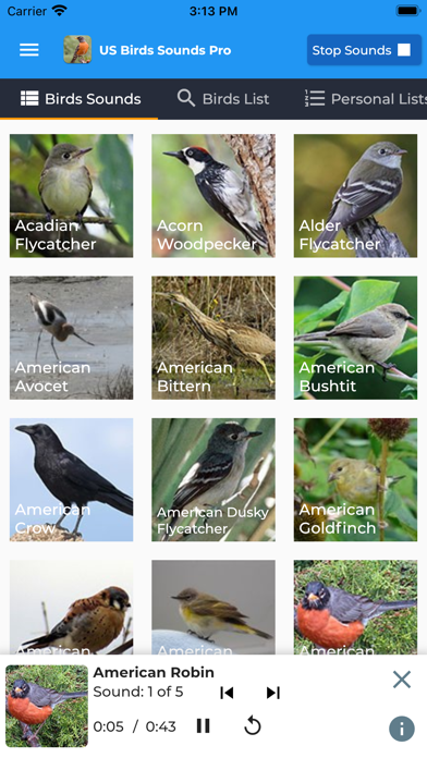 American Birds Sounds Pro Screenshot