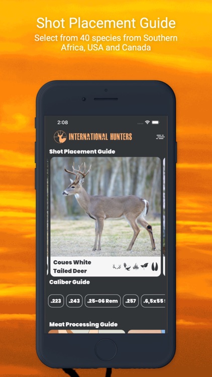 International Hunters screenshot-5