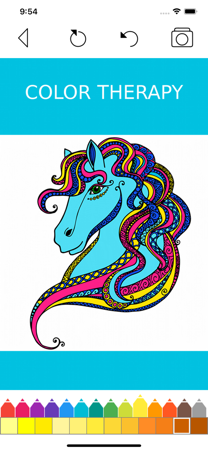 Animal Coloring Book -