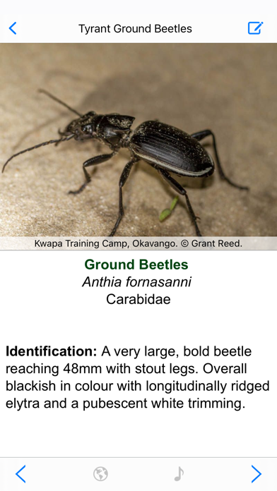 Botswana Wildlife Guide Screenshot