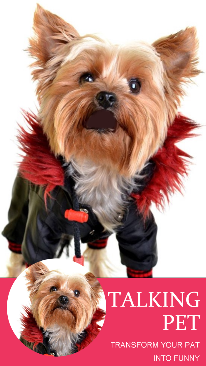 Talking Pet - AI Animal Editor