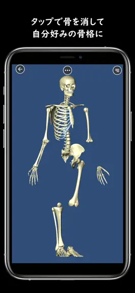 Game screenshot 骨まる apk