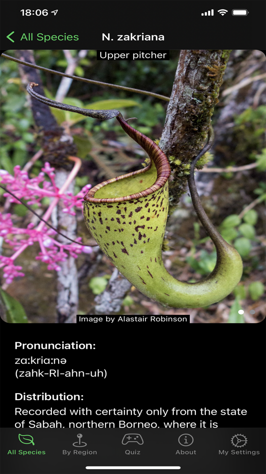 #5. Nepy (iOS) 由: Davide Baj