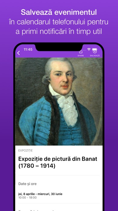 Timișoara City Screenshot