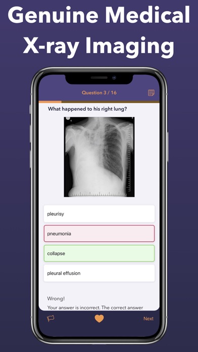 Radiology Core: Physics Prep Screenshot