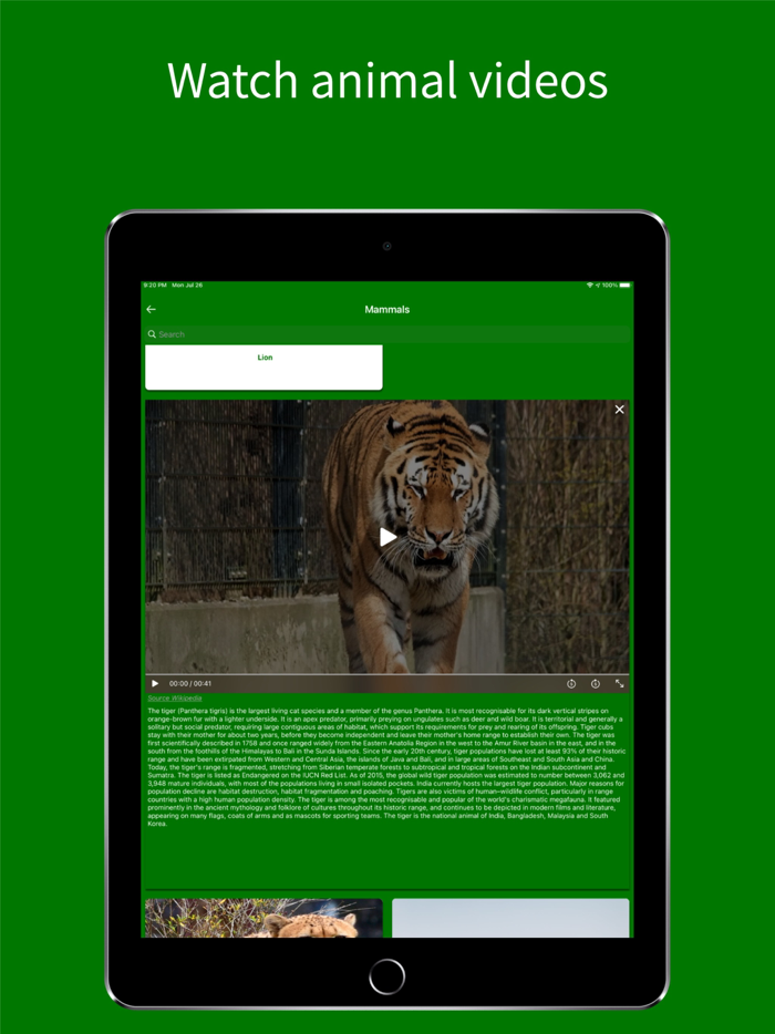 Virtual Jungle Safari